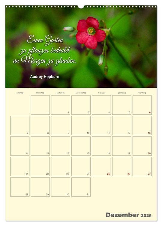 Produktbild: Gartenliebe (Wandkalender 2026 DIN A2 hoch), CALVENDO Monatskalender