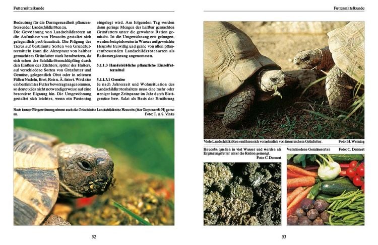 Produktbild: Ern&auml;hrung von Landschildkr&ouml;ten