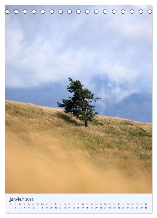 Produktbild: Arbres solitaires (Calendrier de bureau 2026 DIN A5 horizontal), CALVENDO calendrier mensuel