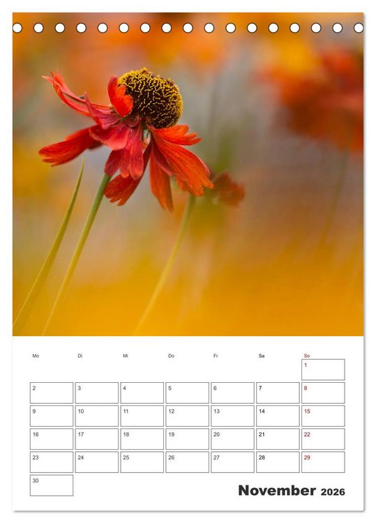 Produktbild: Farbiger Bl&uuml;tentraum (Tischkalender 2026 DIN A5 hoch), CALVENDO Monatskalender