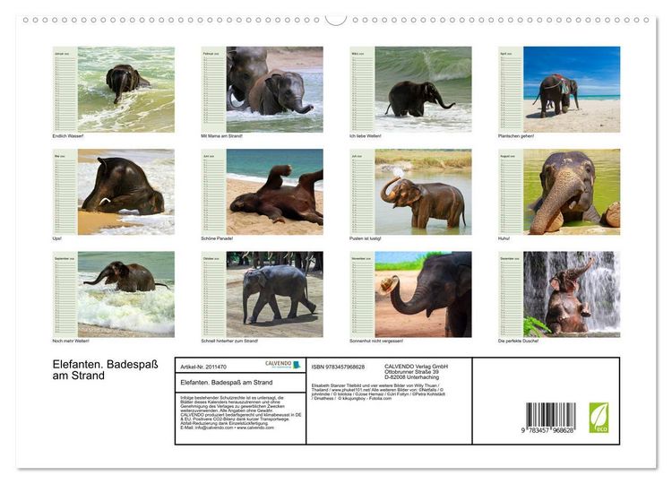 Produktbild: Elefanten. Badespa&szlig; am Strand (hochwertiger Premium Wandkalender 2026 DIN A2 quer), Kunstdruck in Hochglanz