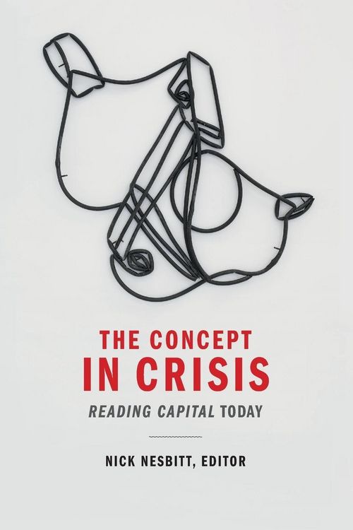 Produktbild: The Concept in Crisis