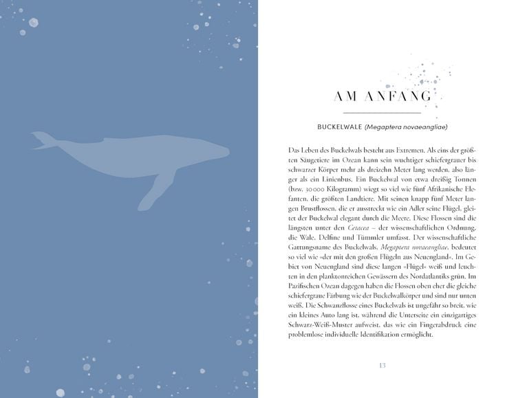 Produktbild: Die Reise der Wale