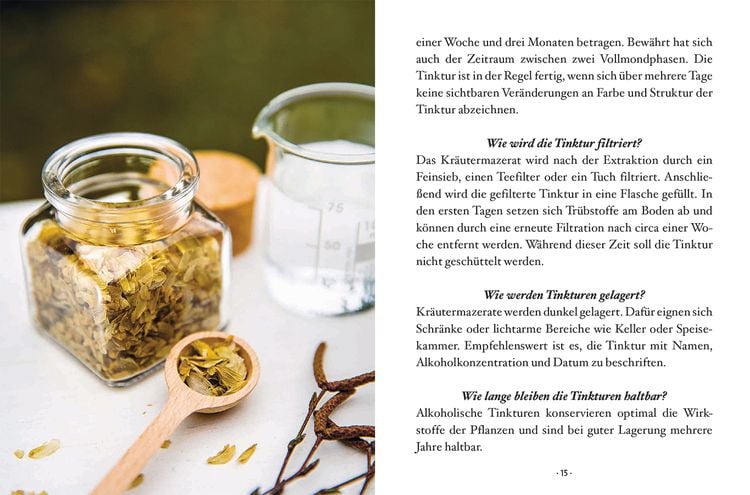 Das große kleine Buch: Heiltinkturen aus Wald und Wiese