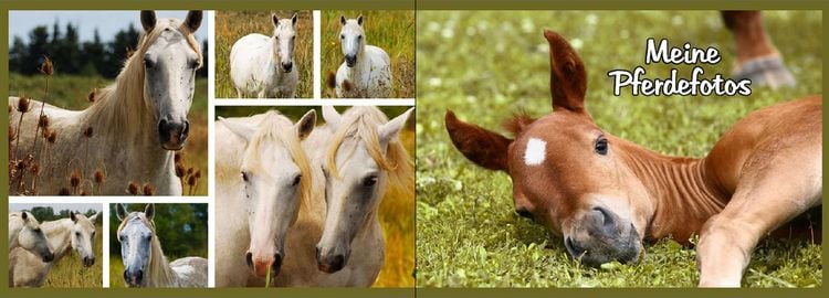 Produktbild: Mein Reiter-Tagebuch - F&uuml;r alle Erlebnisse und Erinnerungen aus dem Reitstall