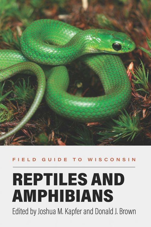 Produktbild: Field Guide to Wisconsin Reptiles and Amphibians