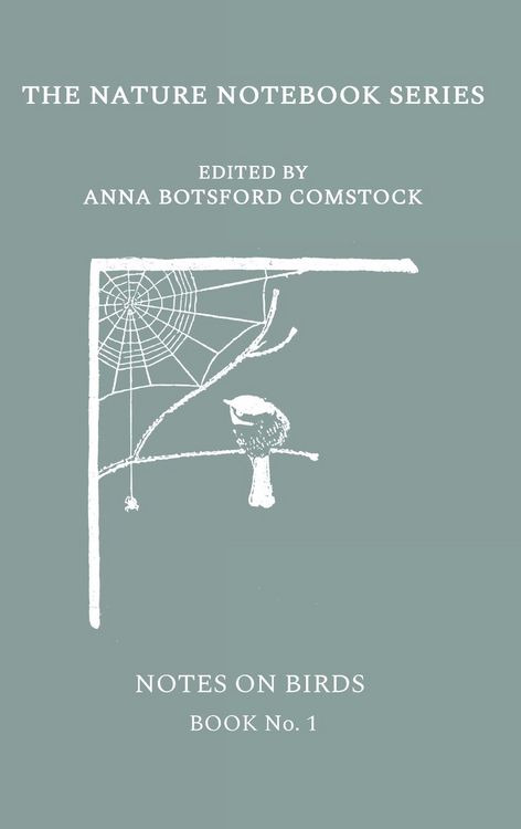Produktbild: Notes on Birds 1