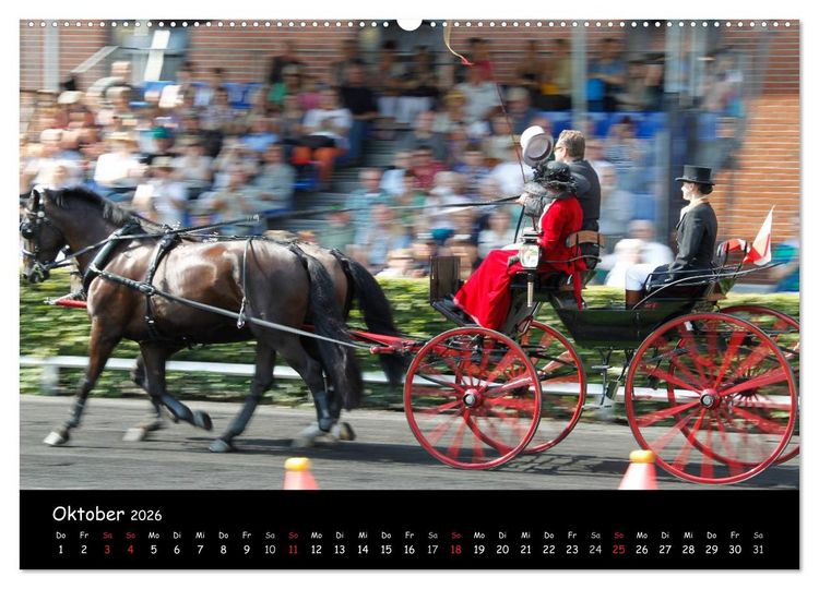 Produktbild: CIAT - Historischer Fahrsport in Celle (Wandkalender 2026 DIN A2 quer), CALVENDO Monatskalender