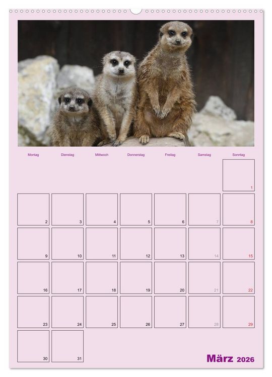 Produktbild: Erdm&auml;nnchen / Terminplaner (Wandkalender 2026 DIN A2 hoch), CALVENDO Monatskalender