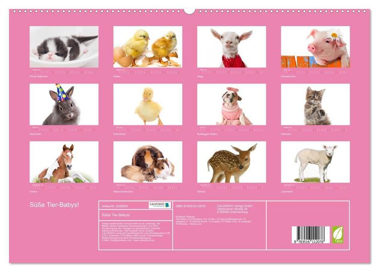 Produktbild: S&uuml;&szlig;e Tier-Babys! (hochwertiger Premium Wandkalender 2026 DIN A2 quer), Kunstdruck in Hochglanz