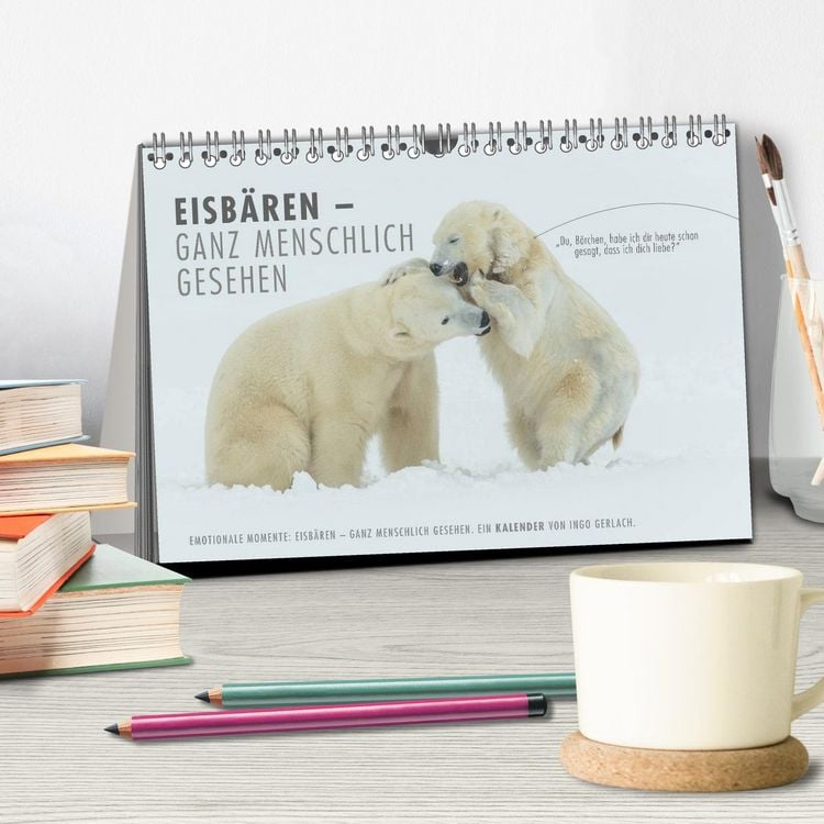 Produktbild: Emotionale Momente: Eisb&auml;ren - ganz menschlich gesehen. (Tischkalender 2026 DIN A5 quer), CALVENDO Monatskalender