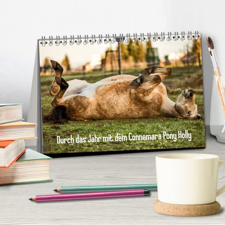 Produktbild: Durch das Jahr mit dem Connemara Pony Holly (Tischkalender 2026 DIN A5 quer), CALVENDO Monatskalender