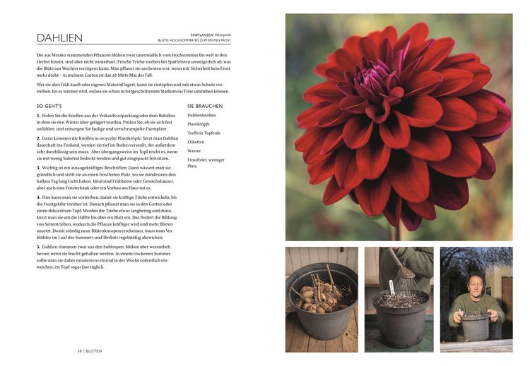 Produktbild: Das Gartenbuch