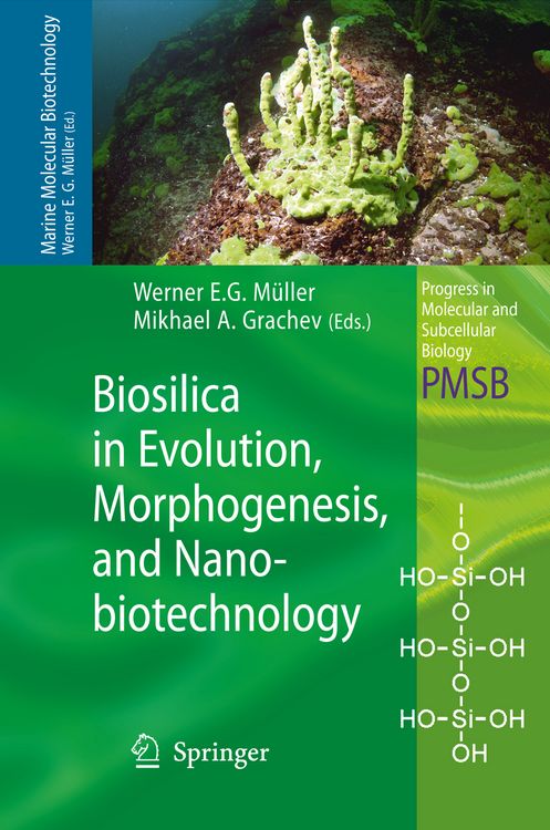 Produktbild: Biosilica in Evolution, Morphogenesis, and Nanobiotechnology