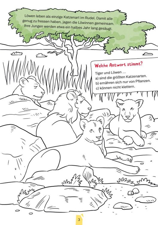 Produktbild: Conni Gelbe Reihe (Besch&auml;ftigungsbuch): Tierischer Mal- und Bastelspa&szlig;