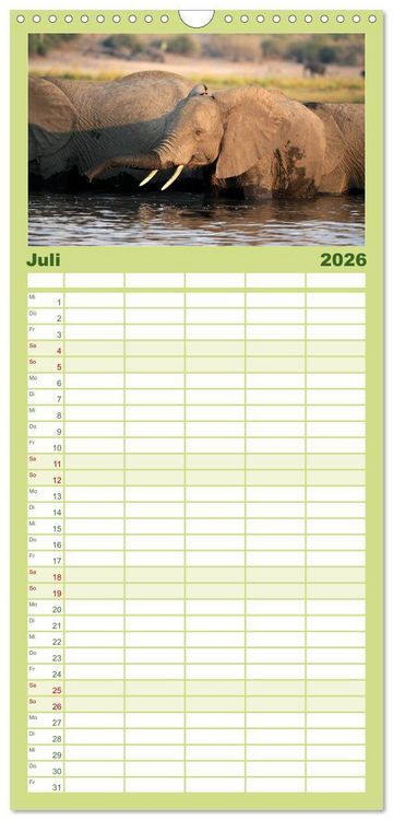 Produktbild: Familienplaner 2026 - Afrika - im Reich der Elefanten mit 5 Spalten (Wandkalender, 21 x 45 cm) CALVENDO