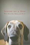 Produktbild: Inside of a Dog