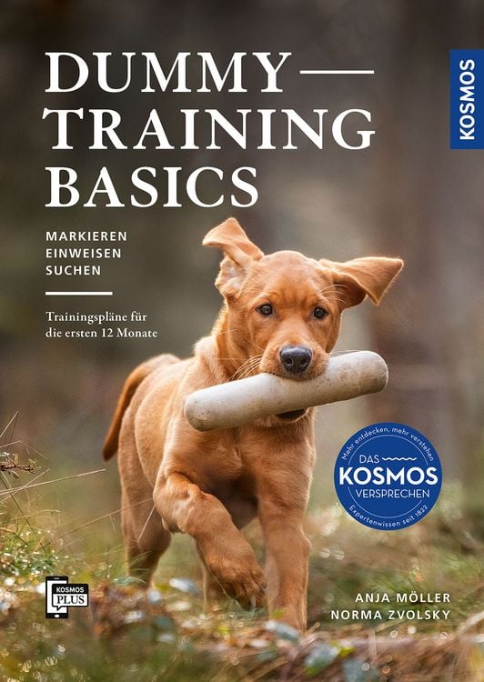 Produktbild: Dummytraining - Basics