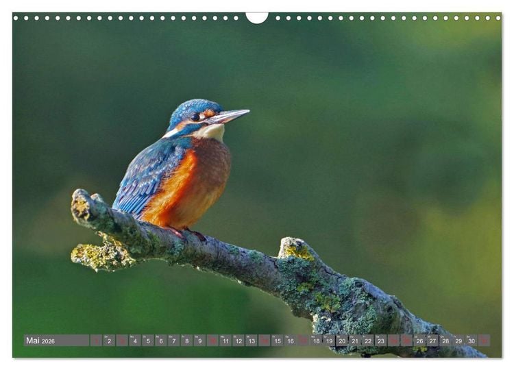 Produktbild: Zauberhafte Schwalm (Wandkalender 2026 DIN A3 quer), CALVENDO Monatskalender
