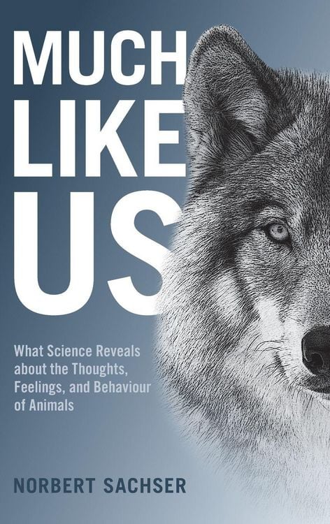 Produktbild: Much Like Us