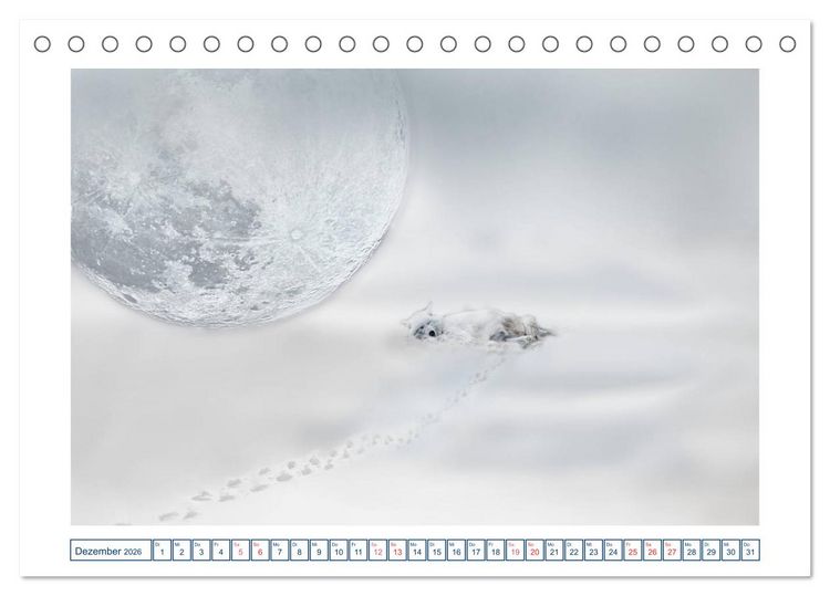 Produktbild: MoonMania (Tischkalender 2026 DIN A5 quer), CALVENDO Monatskalender
