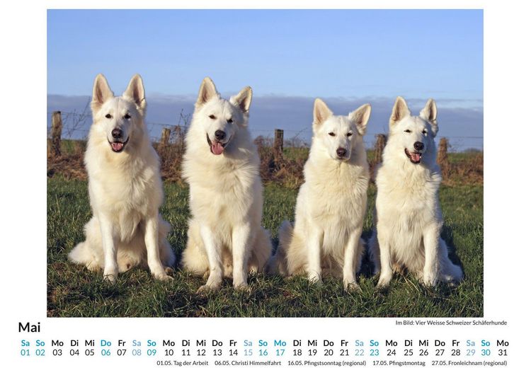 Produktbild: Berger Blanc Suisse