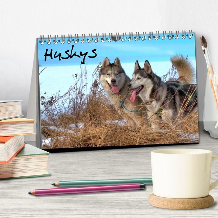 Produktbild: Huskys (Tischkalender 2026 DIN A5 quer), CALVENDO Monatskalender