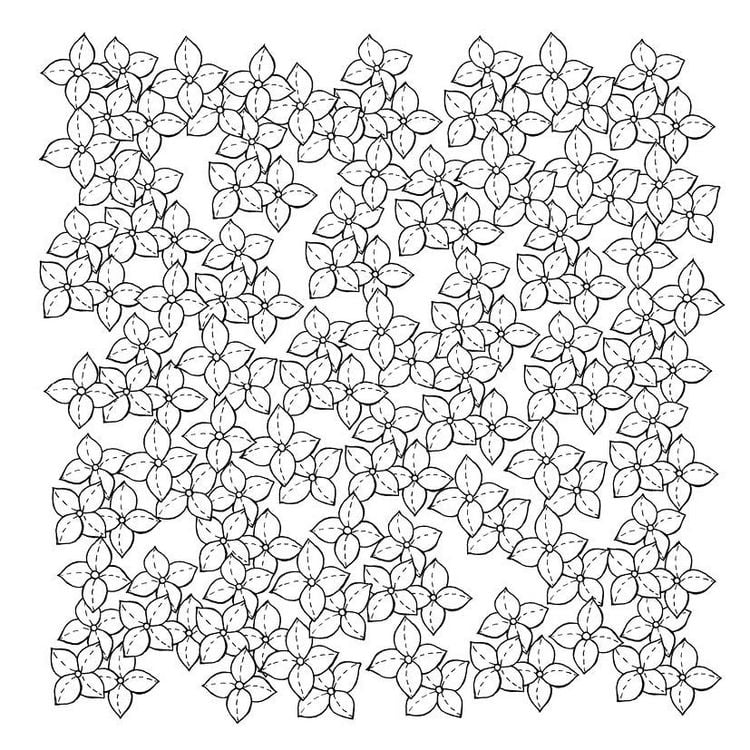 Produktbild: 333 Ausmalen &ndash;&nbsp;Wunder der Natur