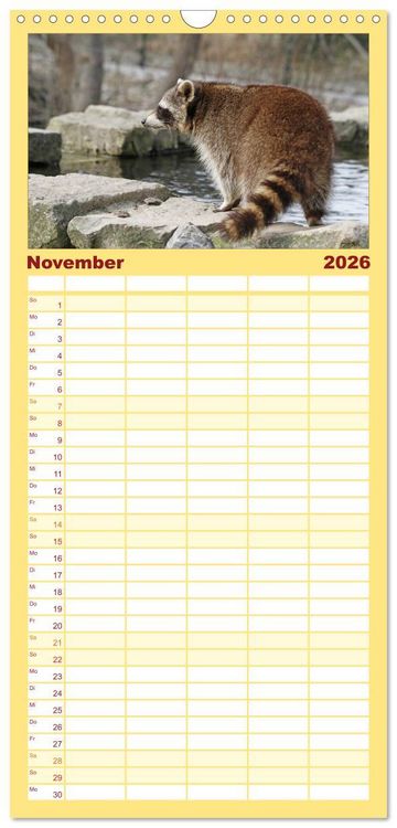 Produktbild: Familienplaner 2026 - Waschb&auml;ren mit 5 Spalten (Wandkalender, 21 x 45 cm) CALVENDO