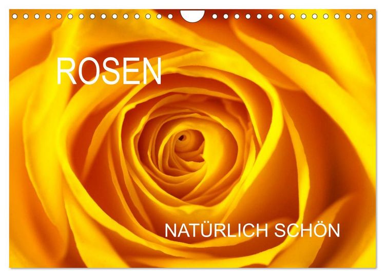 Produktbild: Rosen nat&uuml;rlich sch&ouml;n (Wandkalender 2026 DIN A4 quer), CALVENDO Monatskalender