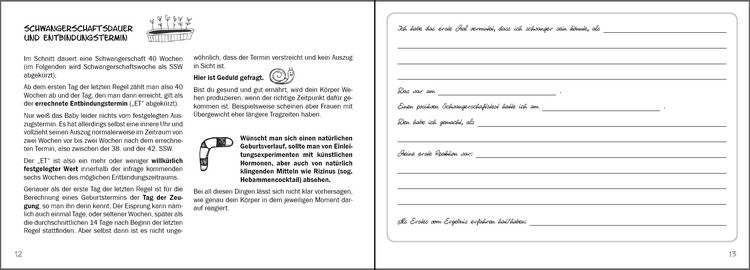 Produktbild: Babyzauber - Dein pers&ouml;nlicher Begleiter f&uuml;r eine entspannte Schwangerschaft, Geburt und erste Babyzeit