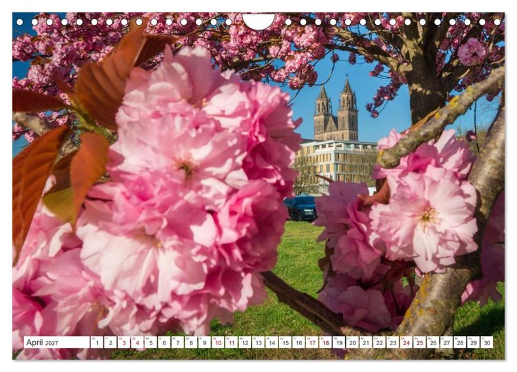 Produktbild: Domperspektiven: Magdeburger Dom - Neu gesehen 2027 (Wandkalender 2027 DIN A4 quer), CALVENDO Monatskalender