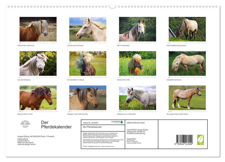 Produktbild: Der Pferdekalender (hochwertiger Premium Wandkalender 2026 DIN A2 quer), Kunstdruck in Hochglanz