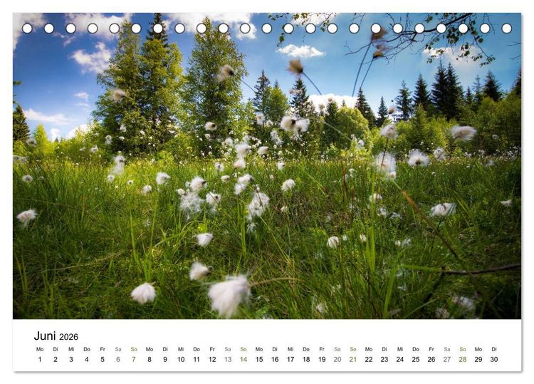 Produktbild: Traumlandschaften im Bayrischen Wald (Tischkalender 2026 DIN A5 quer), CALVENDO Monatskalender