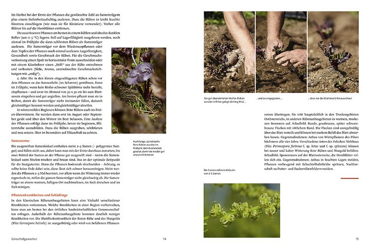 Produktbild: Handbuch Sameng&auml;rtnerei