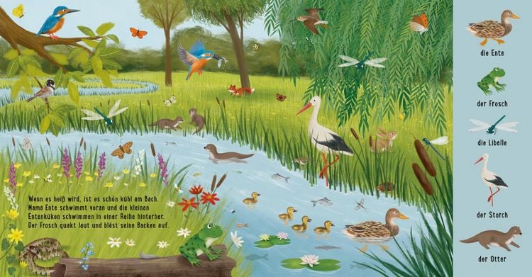 Produktbild: Mein erstes Natur-Wimmelbuch: Tiere auf der Wiese