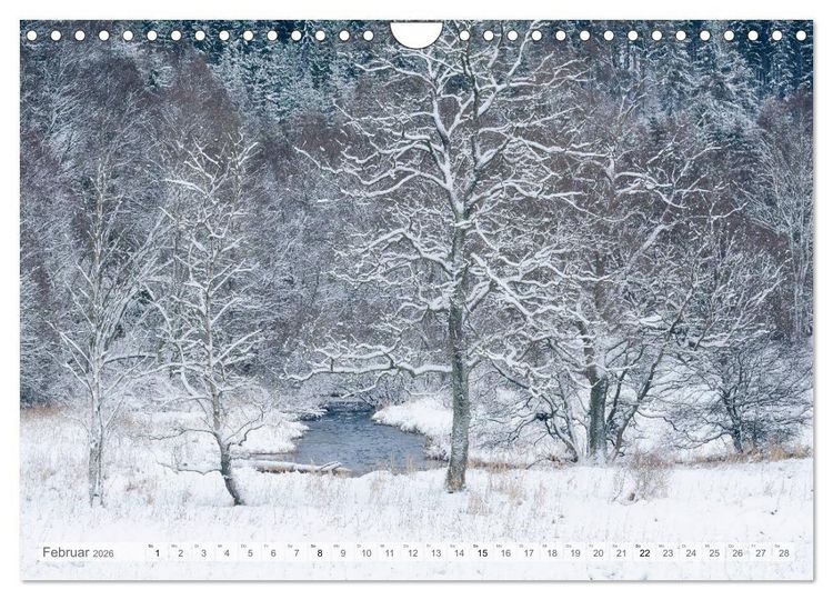 Produktbild: Moore und B&auml;che in Eifel und Ardennen (Wandkalender 2026 DIN A4 quer), CALVENDO Monatskalender