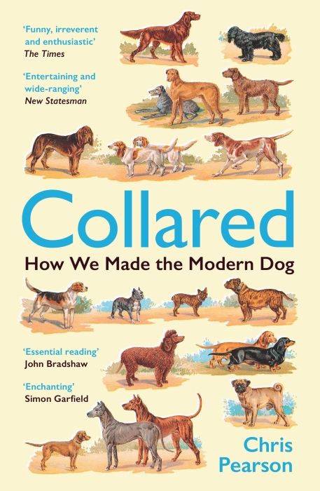 Produktbild: Collared