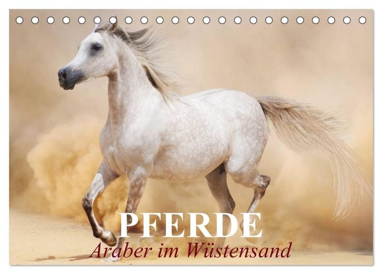 Produktbild: Pferde &bull; Araber im W&uuml;stensand (Tischkalender 2026 DIN A5 quer), CALVENDO Monatskalender