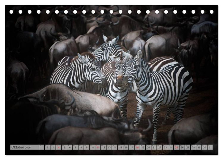 Produktbild: Emotionale Momente: Afrika Wildlife Part 2 / CH-Version (Tischkalender 2026 DIN A5 quer), CALVENDO Monatskalender