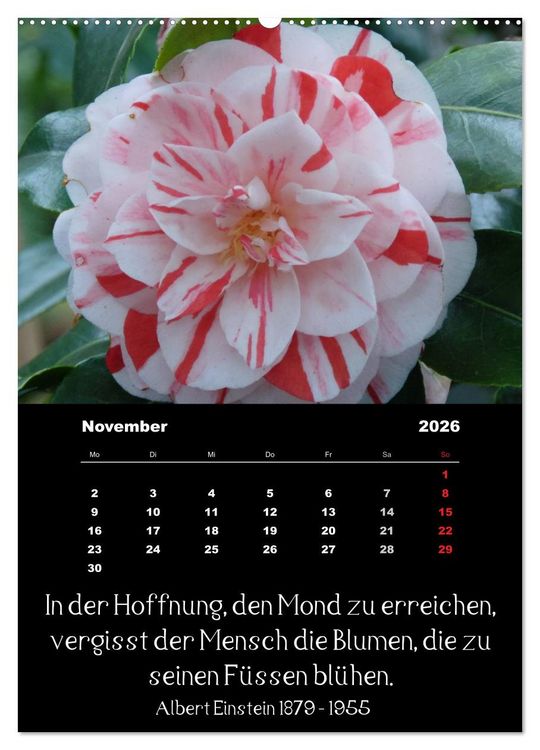Produktbild: Spr&uuml;che und Zitate ber&uuml;hmter Personen &uuml;ber Blumen und Natur (hochwertiger Premium Wandkalender 2026 DIN A2 hoch), Kunstdruck in Hochglanz