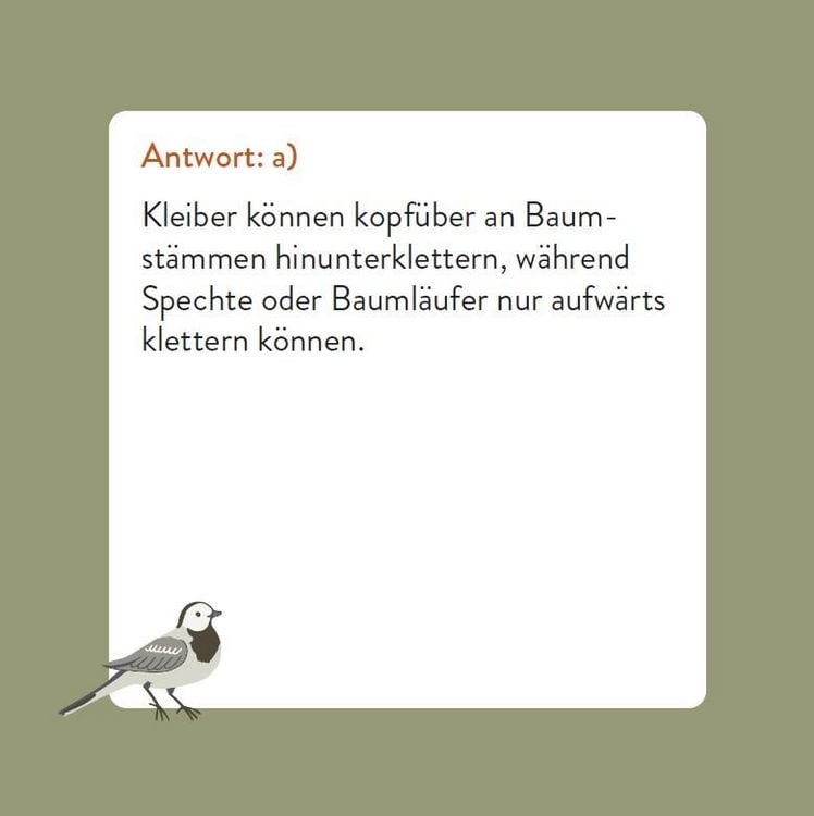 Das Vogel-Quiz