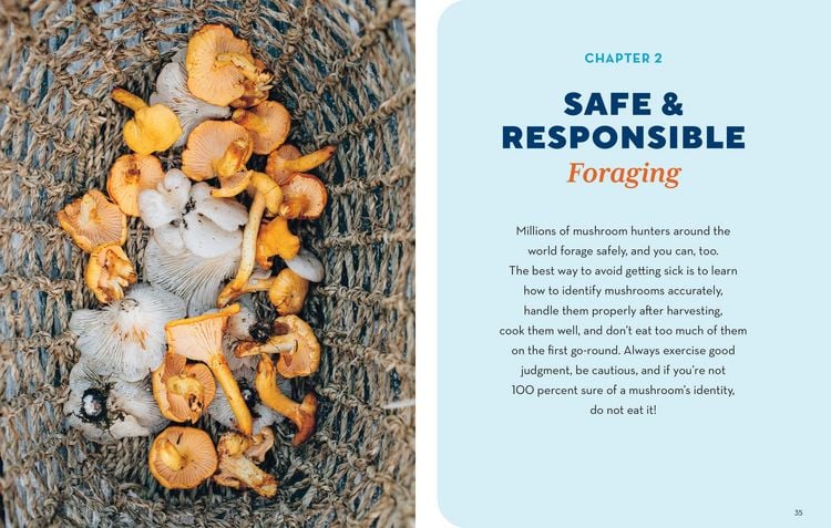 Produktbild: How to Forage for Mushrooms Without Dying