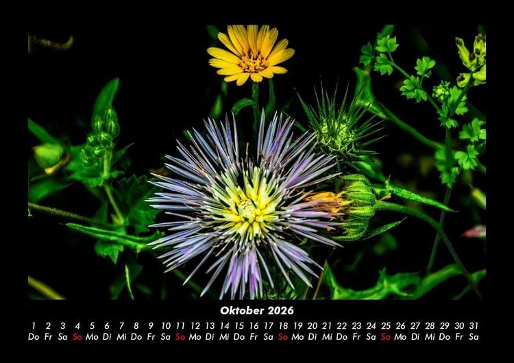 Produktbild: Blumenkalender 2026 Fotokalender DIN A3