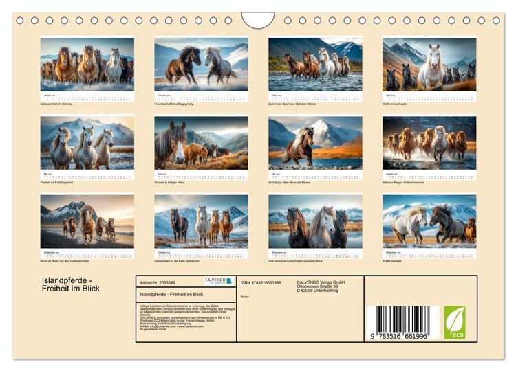 Produktbild: Islandpferde - Freiheit im Blick (Wandkalender 2026 DIN A4 quer), CALVENDO Monatskalender