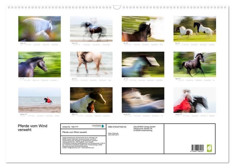 Produktbild: Pferde vom Wind verweht (Wandkalender 2026 DIN A2 quer), CALVENDO Monatskalender