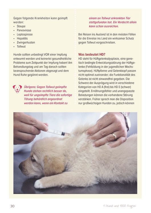Produktbild: Ein Hund und 1000 Fragen