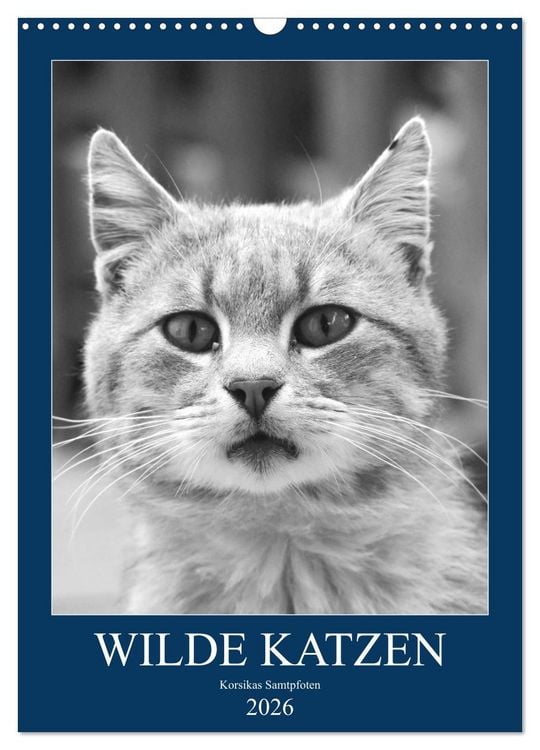 Produktbild: Wilde Katzen - Korsikas Samtpfoten (Wandkalender 2026 DIN A3 hoch), CALVENDO Monatskalender