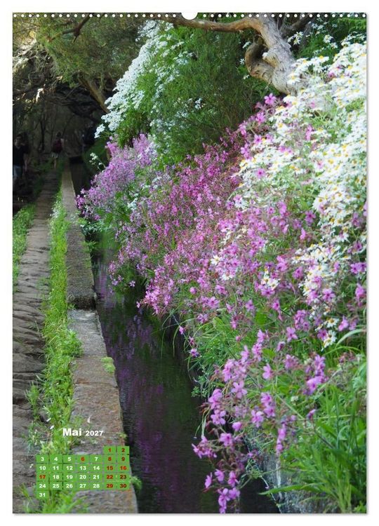 Produktbild: Levadas auf Madeira. Wildromantische Wanderwege (hochwertiger Premium Wandkalender 2027 DIN A2 hoch), Kunstdruck in Hochglanz