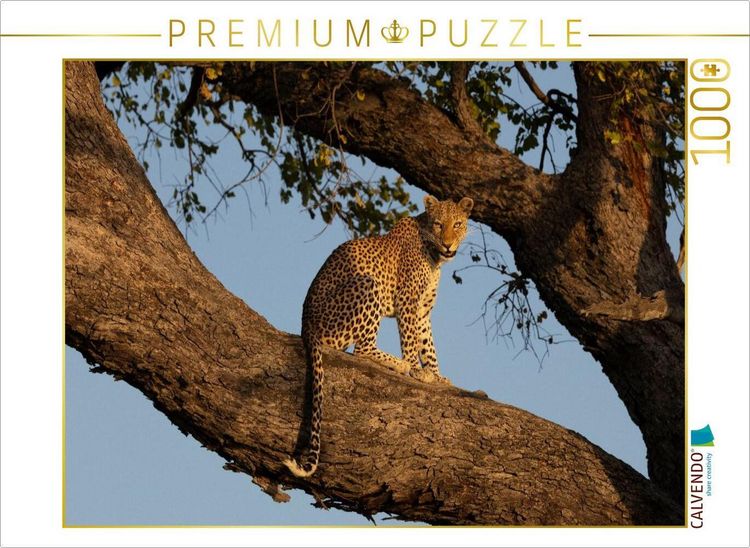 Produktbild: CALVENDO Puzzle Eine Leopardin auf einem Baum am Chobe in Botswana | 1000 Teile Lege-Gr&ouml;&szlig;e 64x48cm Foto-Puzzle f&uuml;r gl&uuml;ckliche Stunden